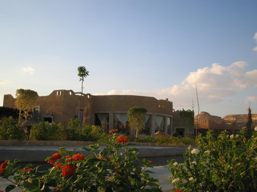 Siwa Shali Resort Siwa Oasis Extérieur photo